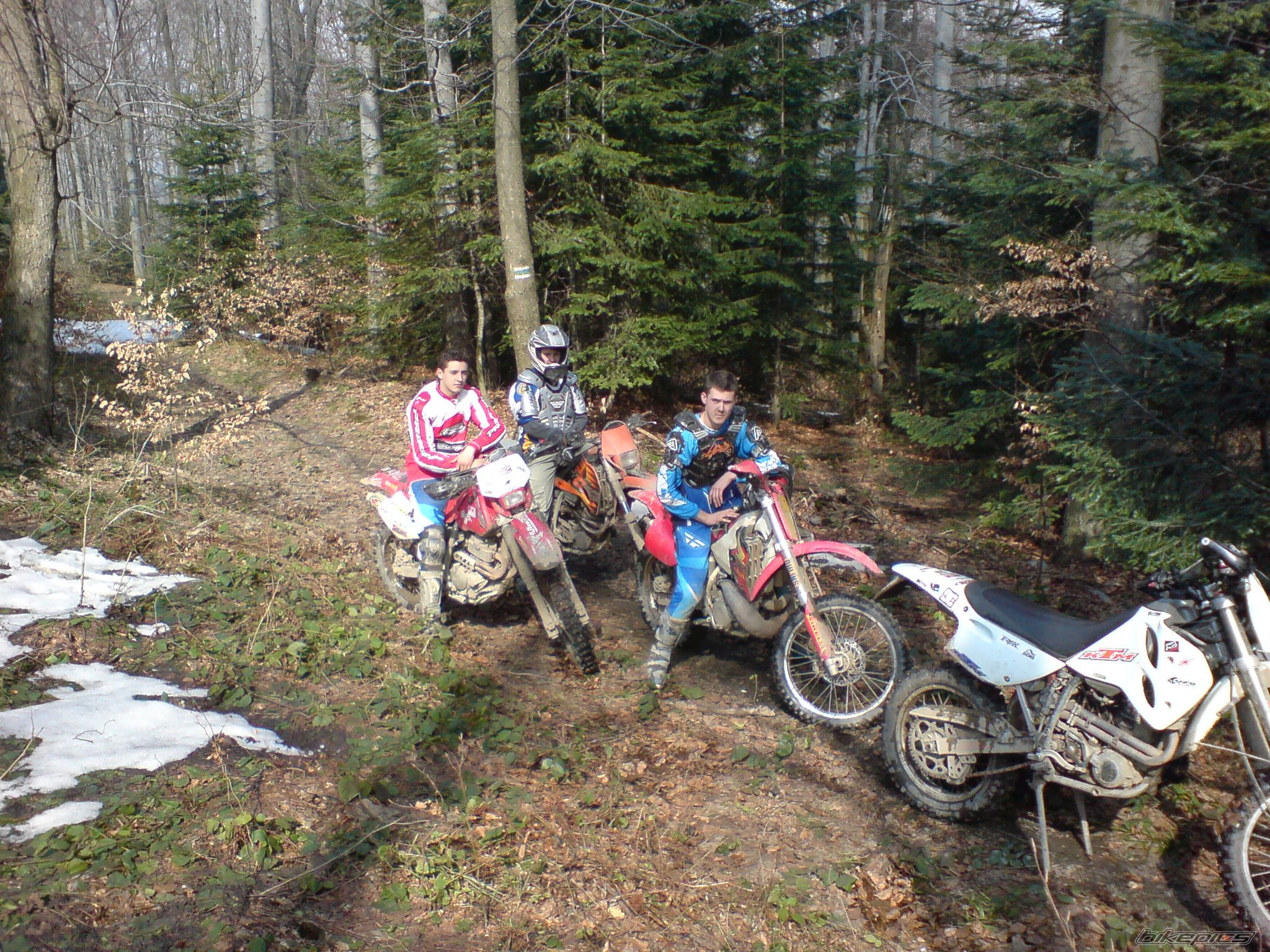 Photo 1624262