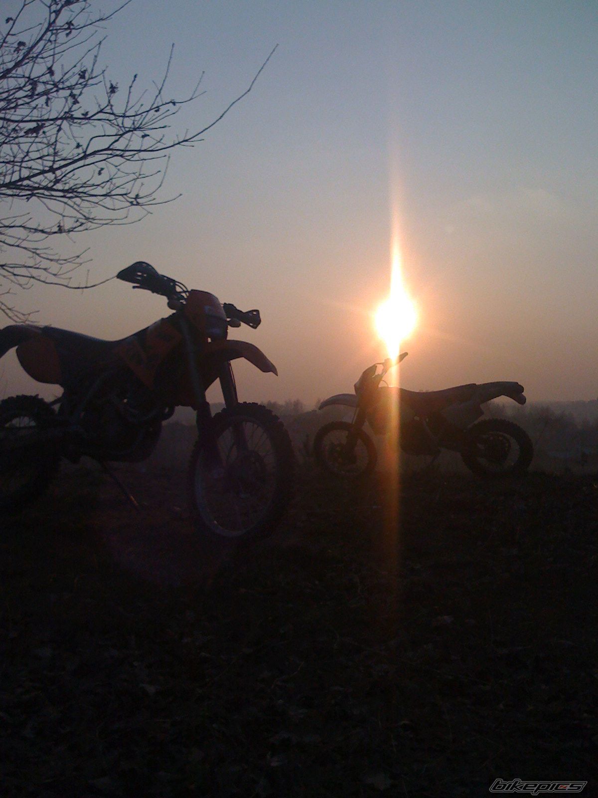 Photo 1624355