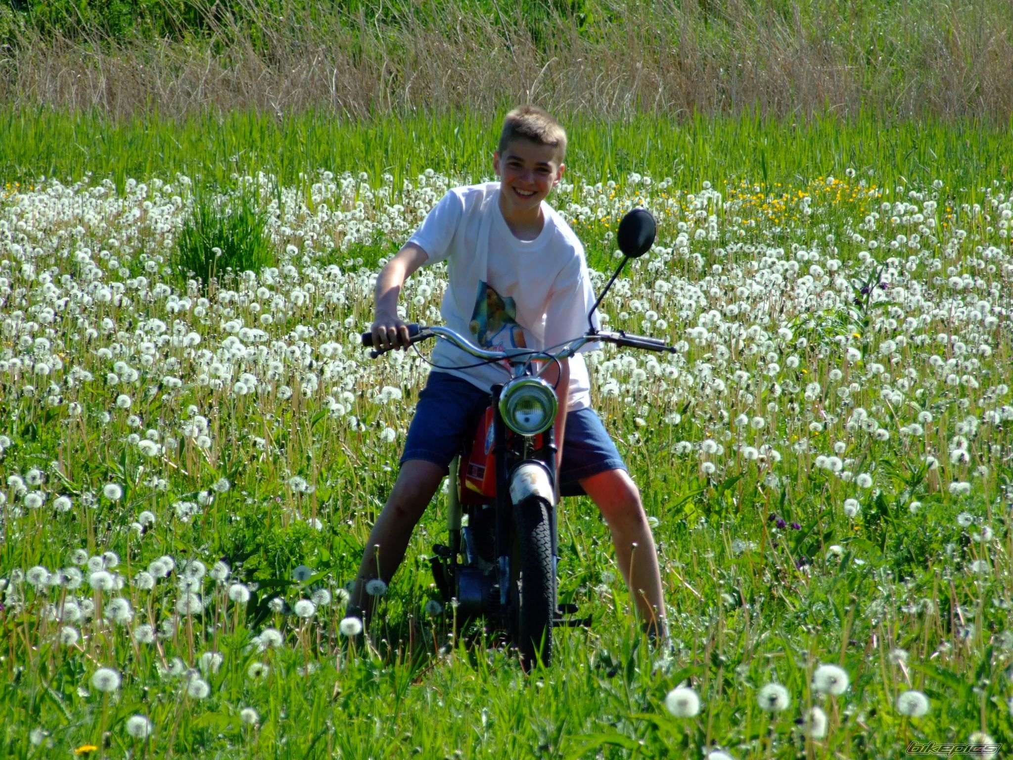 Bike Photo 1624379