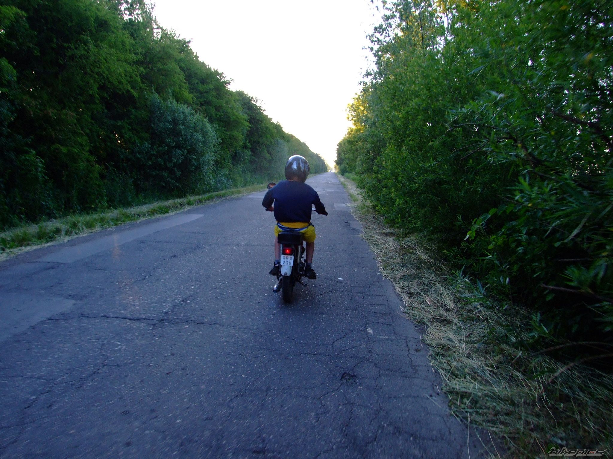 Photo 1624390