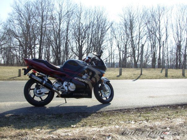 Photo 1624441