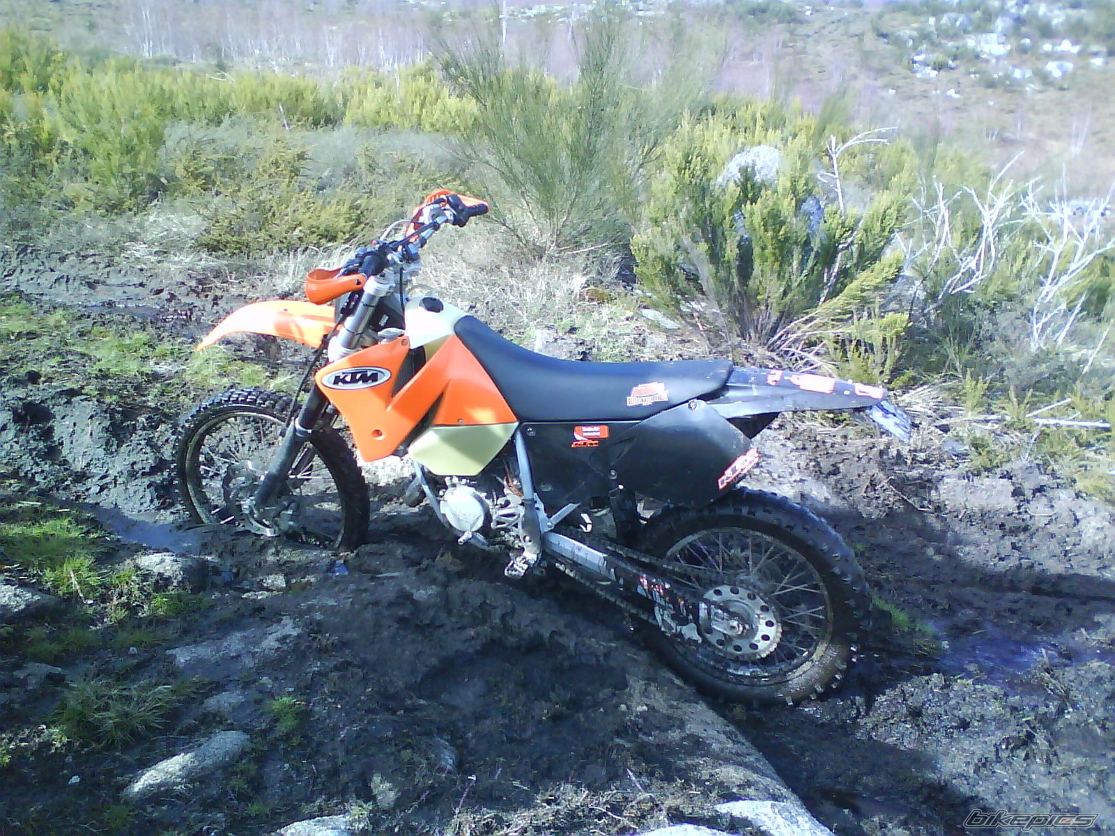 Photo 1624519