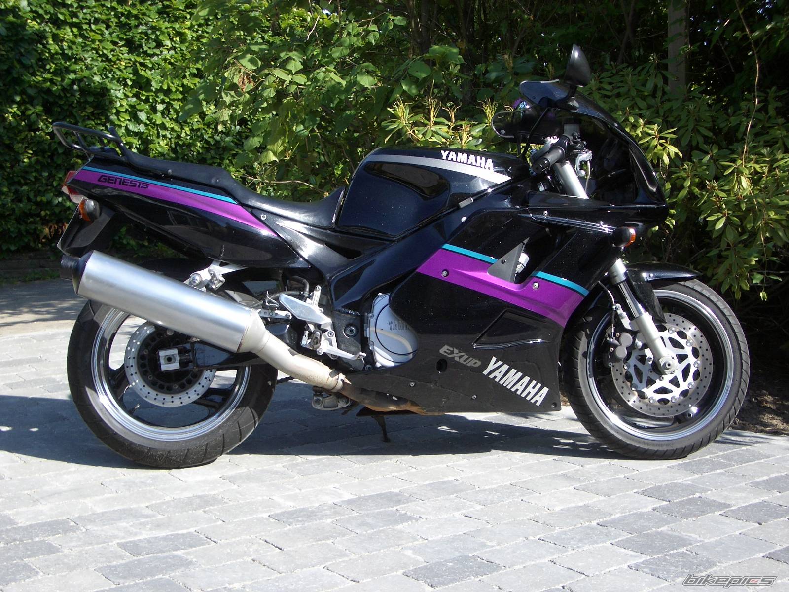 Photo 162461