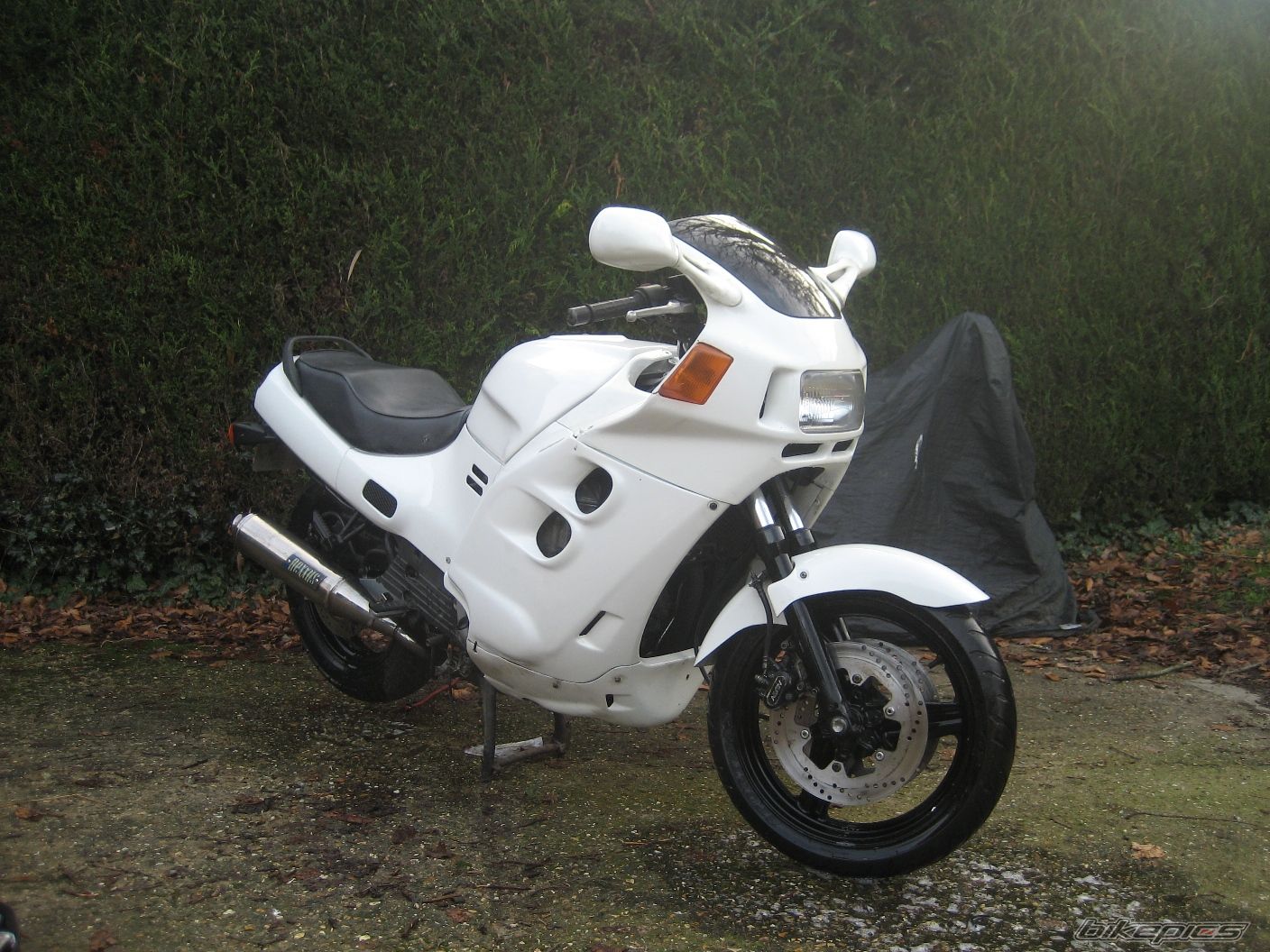 Photo 1624823