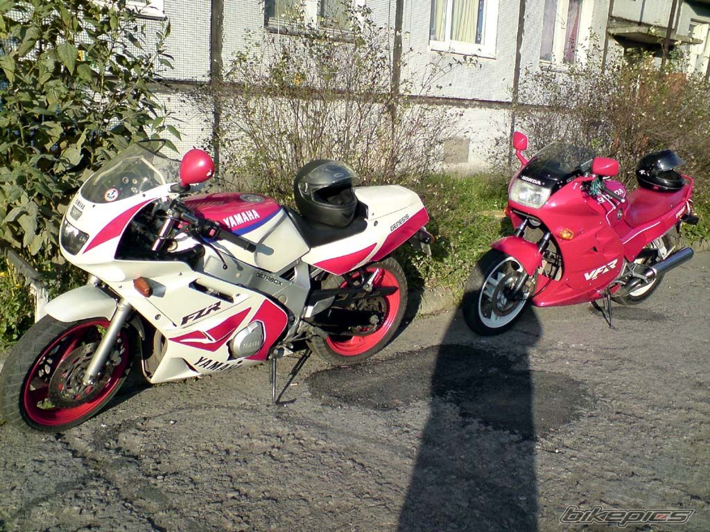 Photo 1624825
