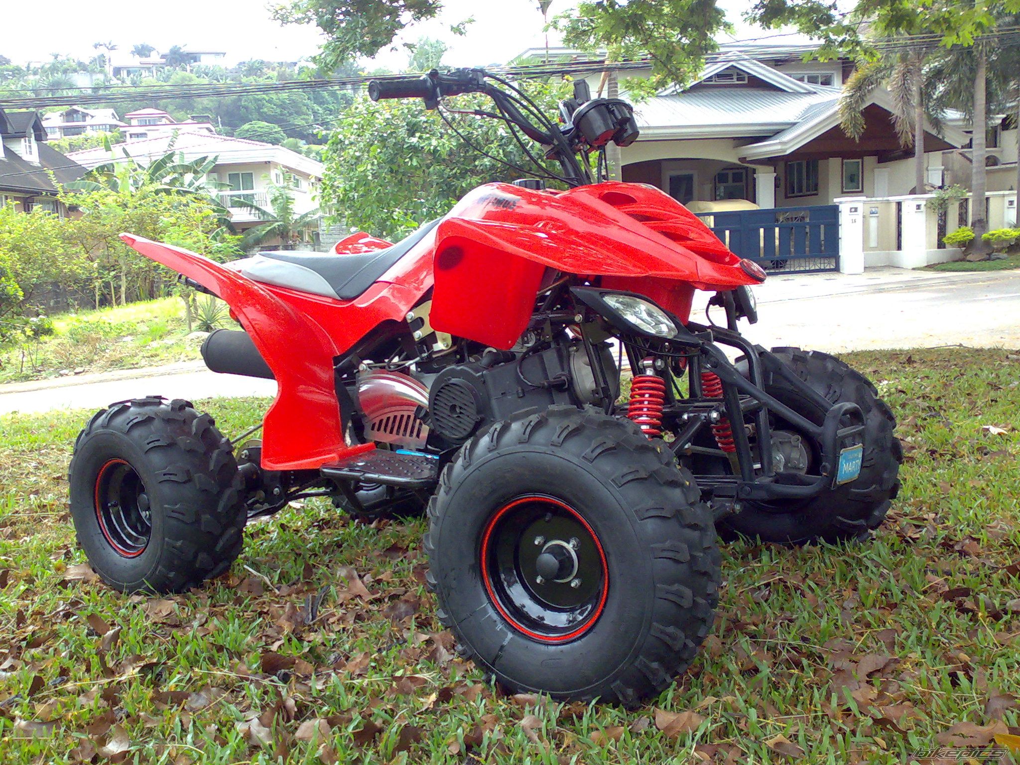 Photo 1624841