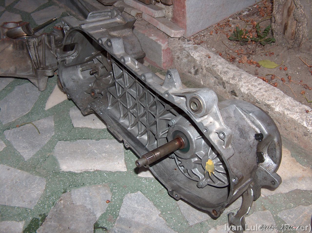 Photo 1624894