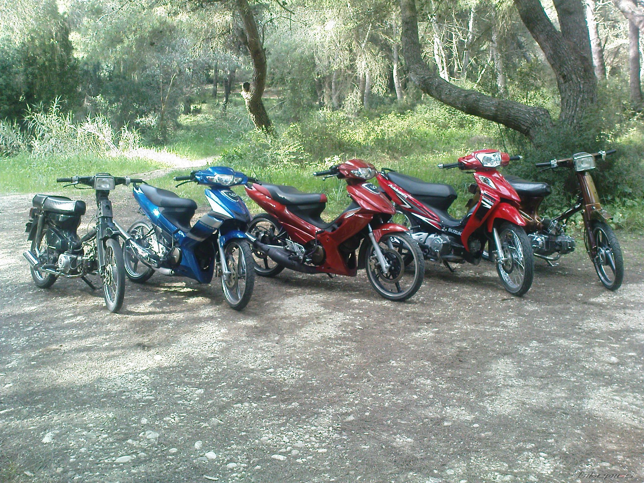 Photo 1624941