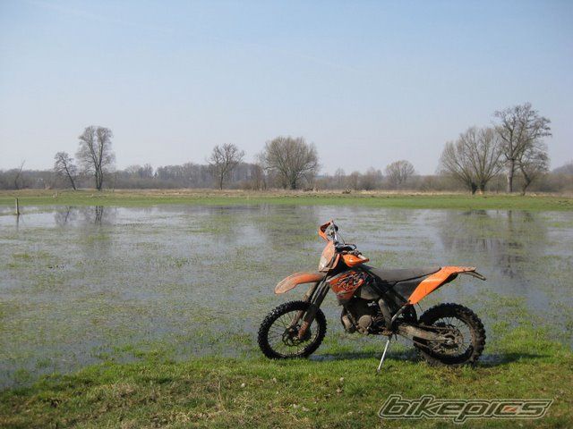 Photo 1625006