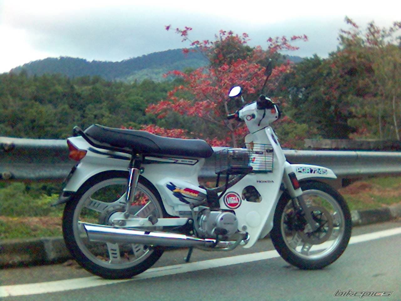 Photo 1625013