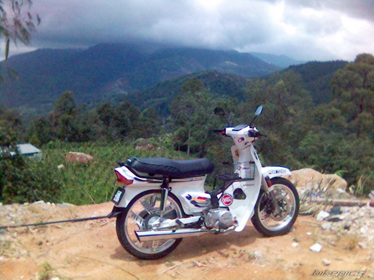 Photo 1625025