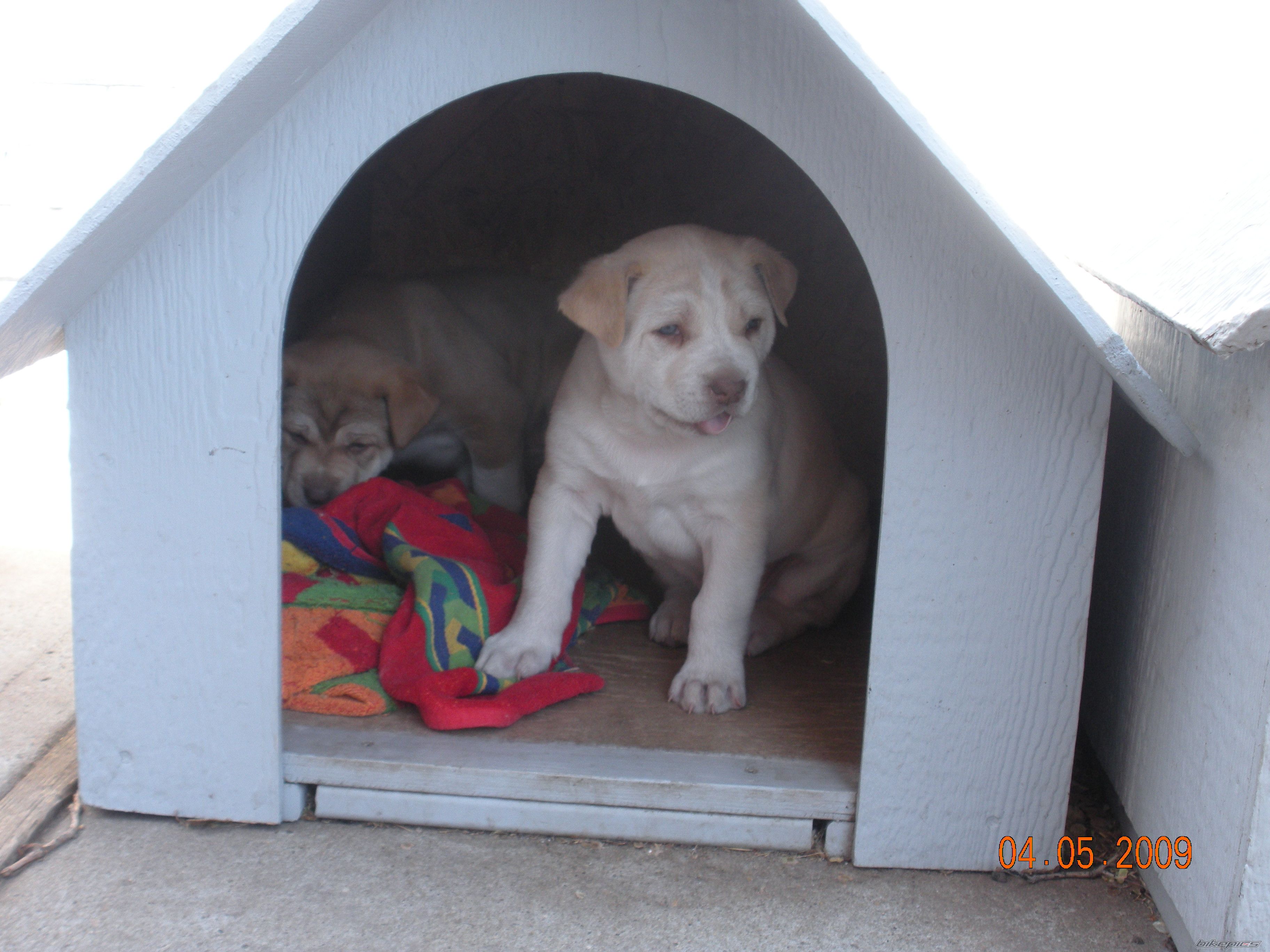 Photo 1625088