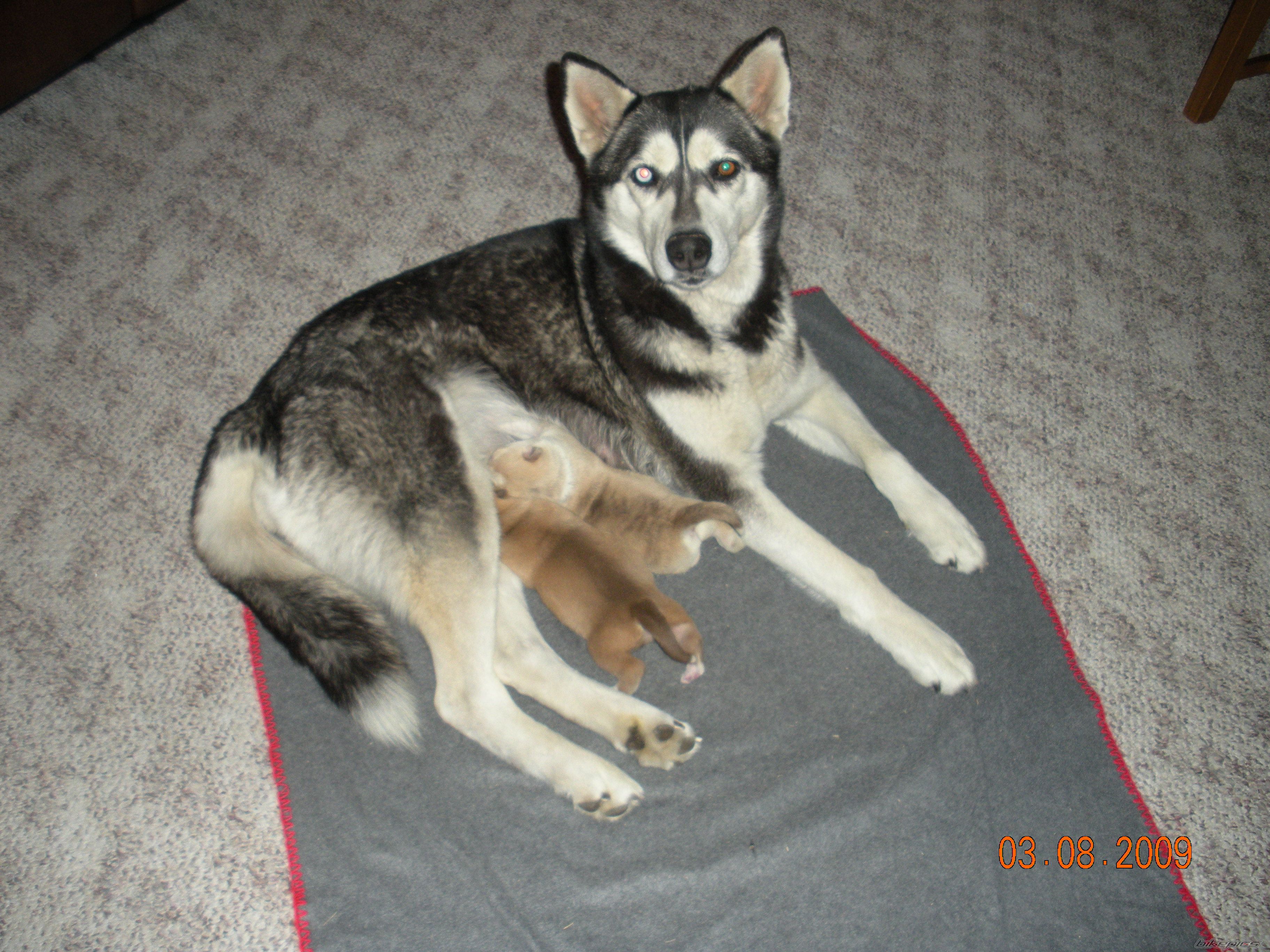Photo 1625096