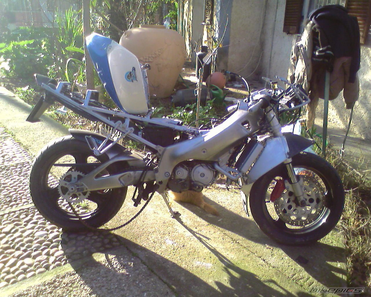 Photo 1625280