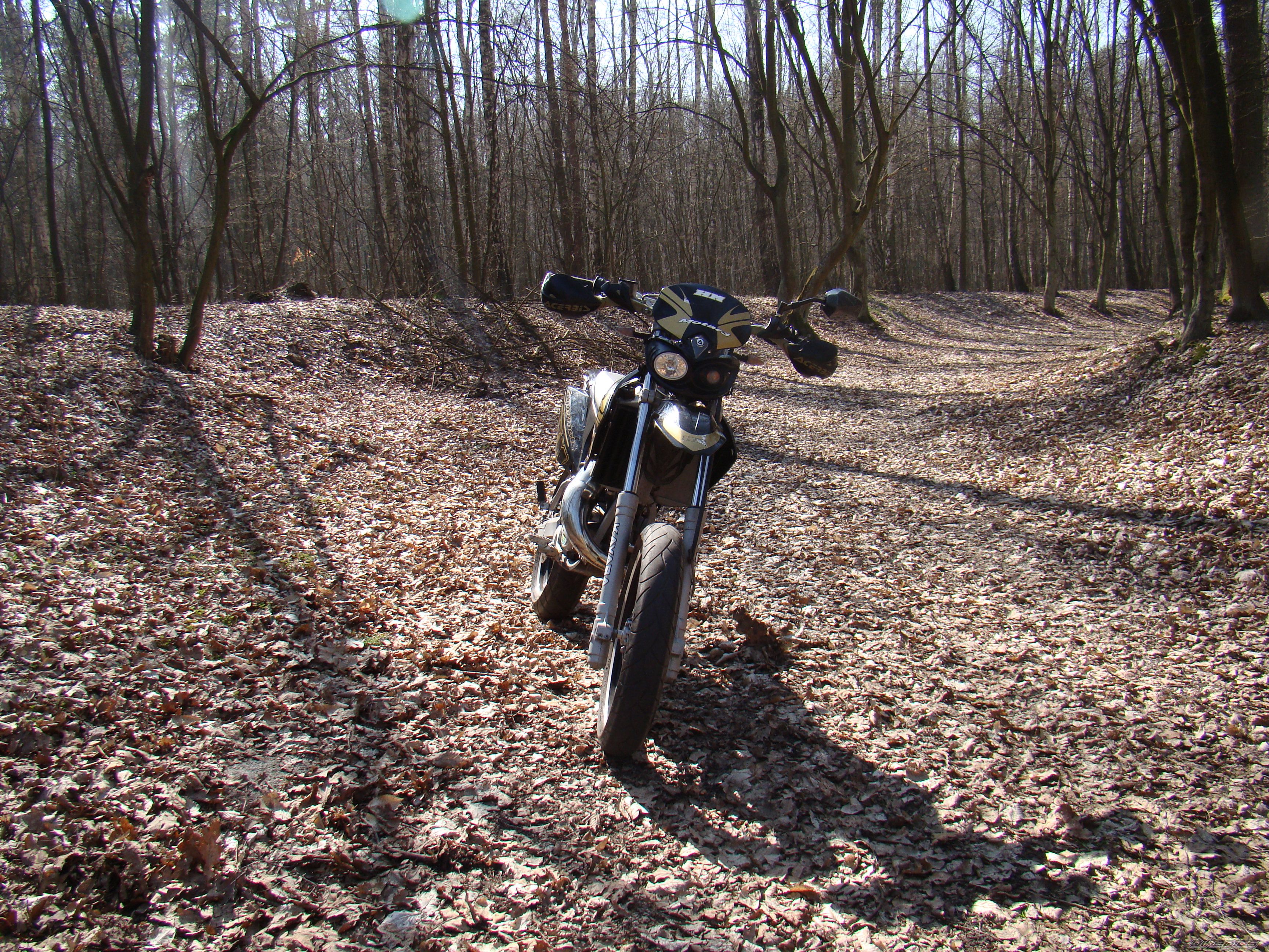 Bike Photo 1625302