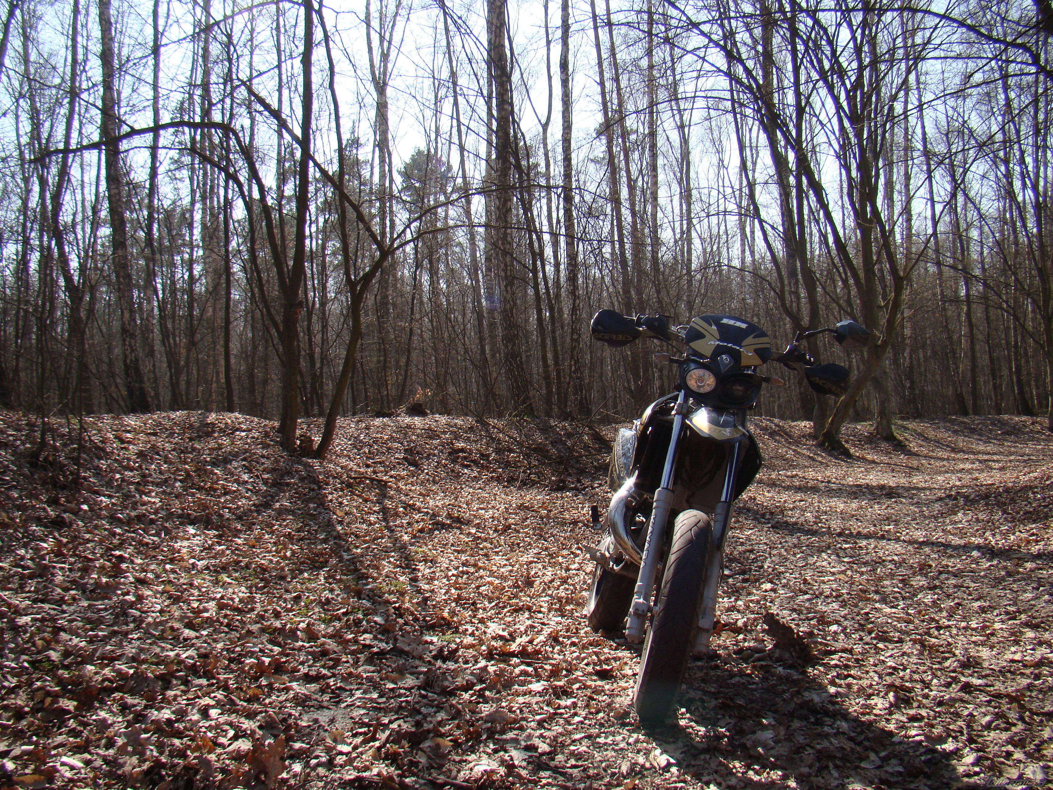Bike Photo 1625304