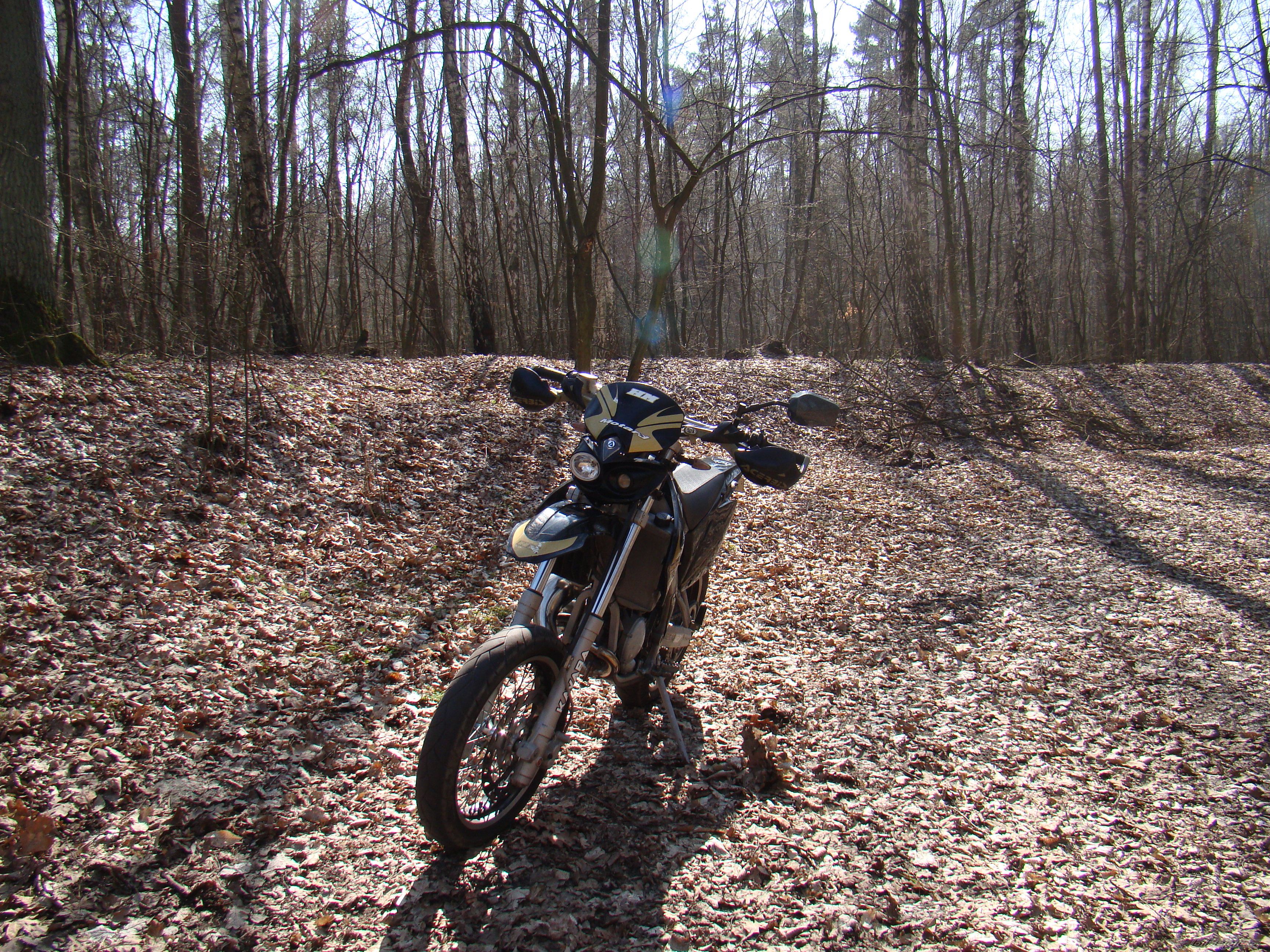 Bike Photo 1625396