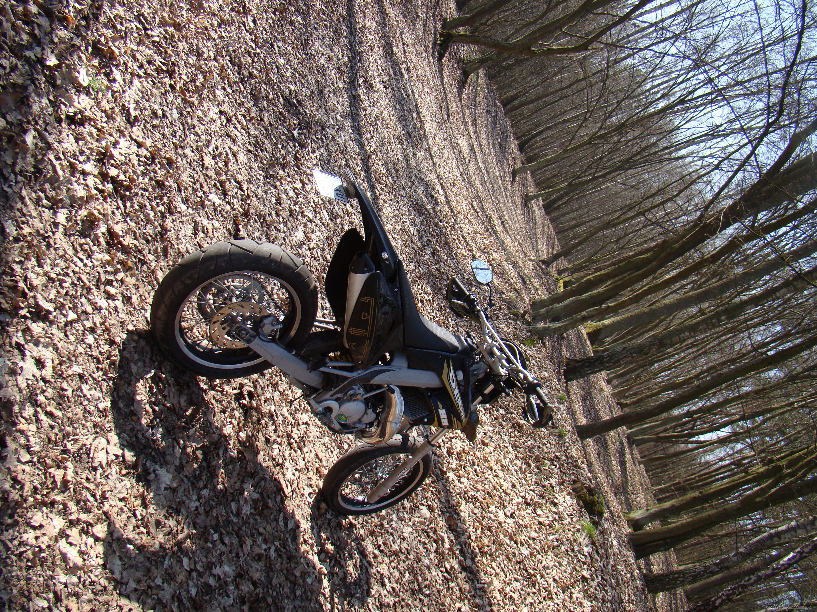 Bike Photo 1625422