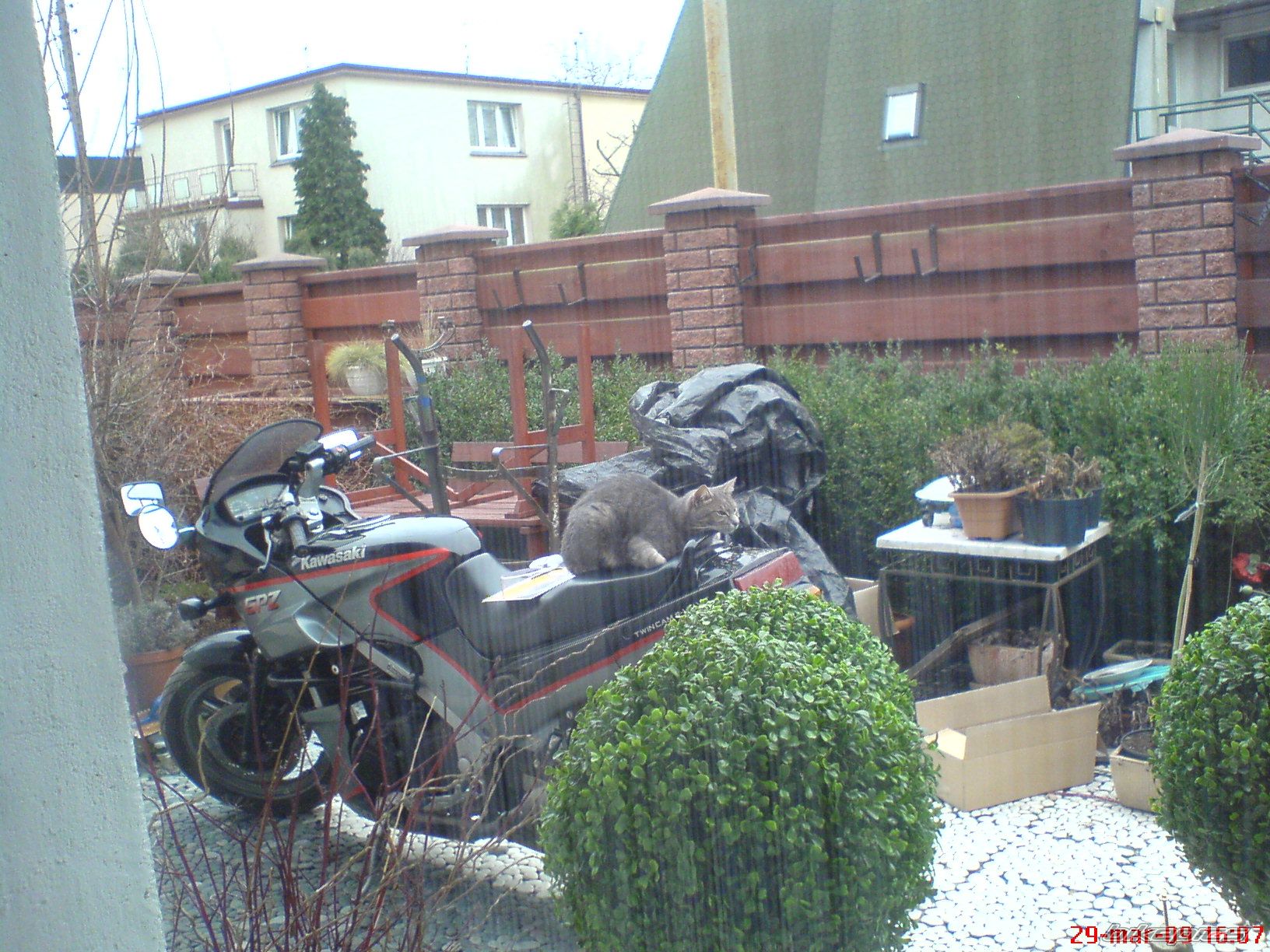 Photo 1625464