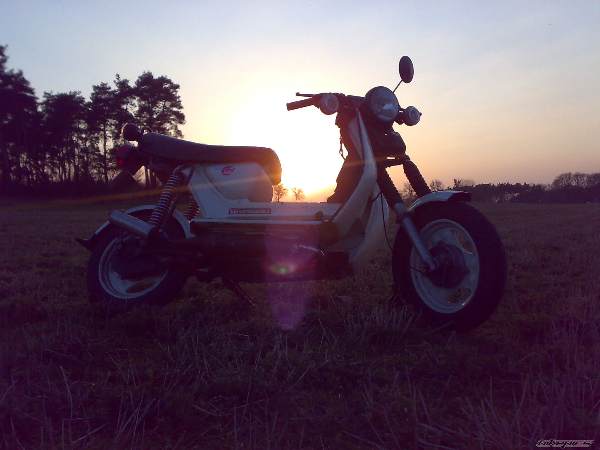 Photo 1625669