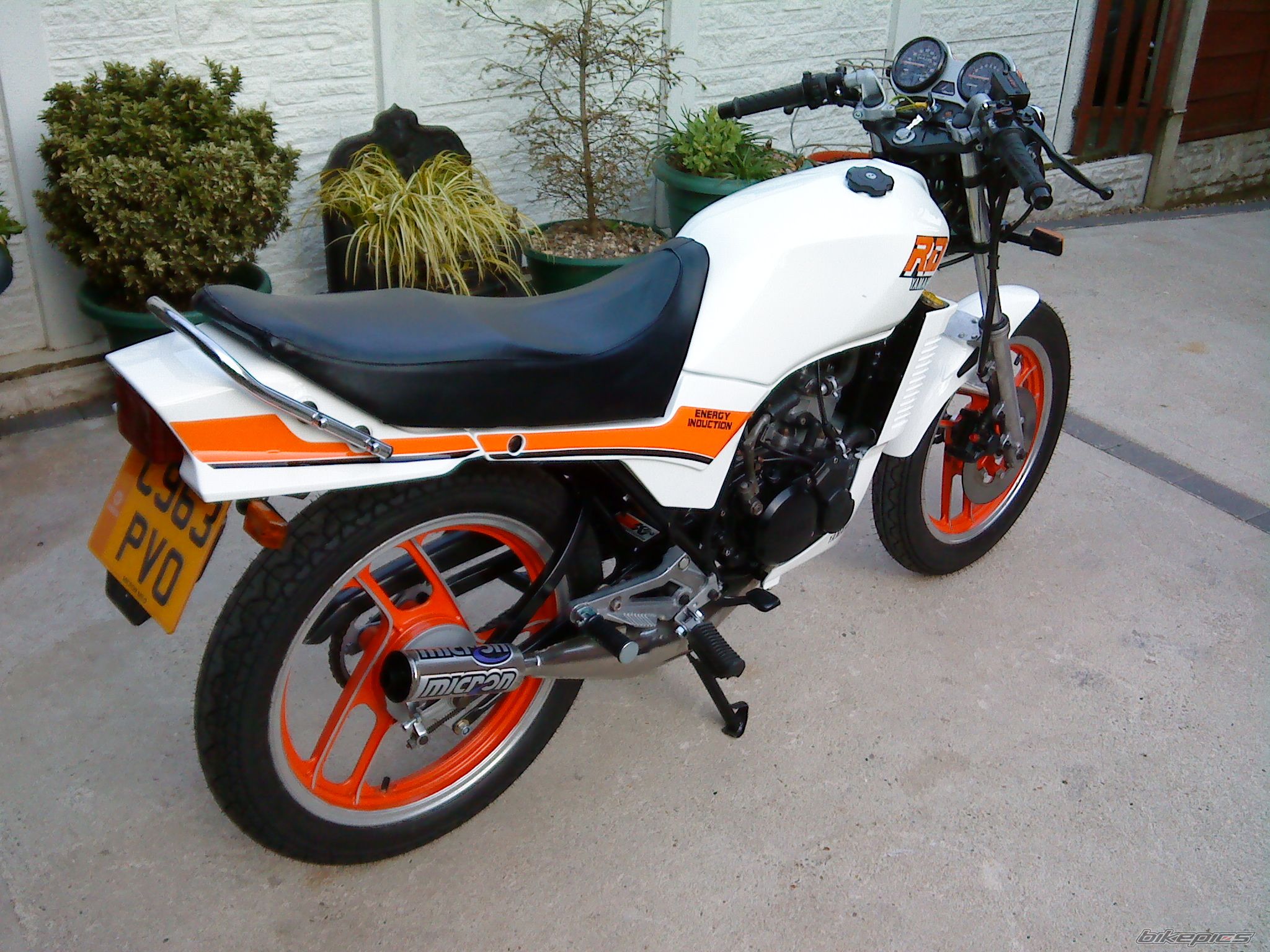 Photo 1625869