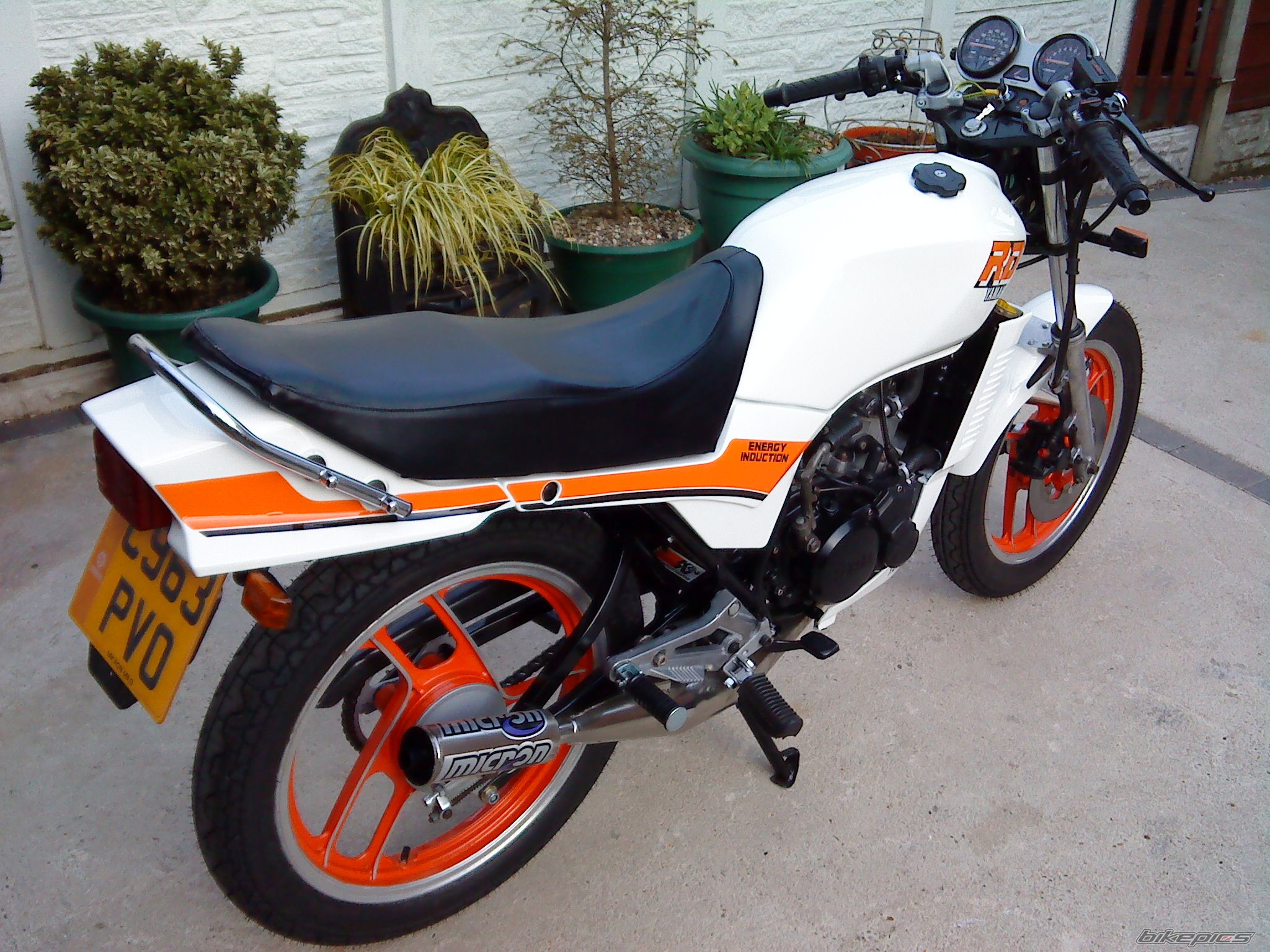 Photo 1625872
