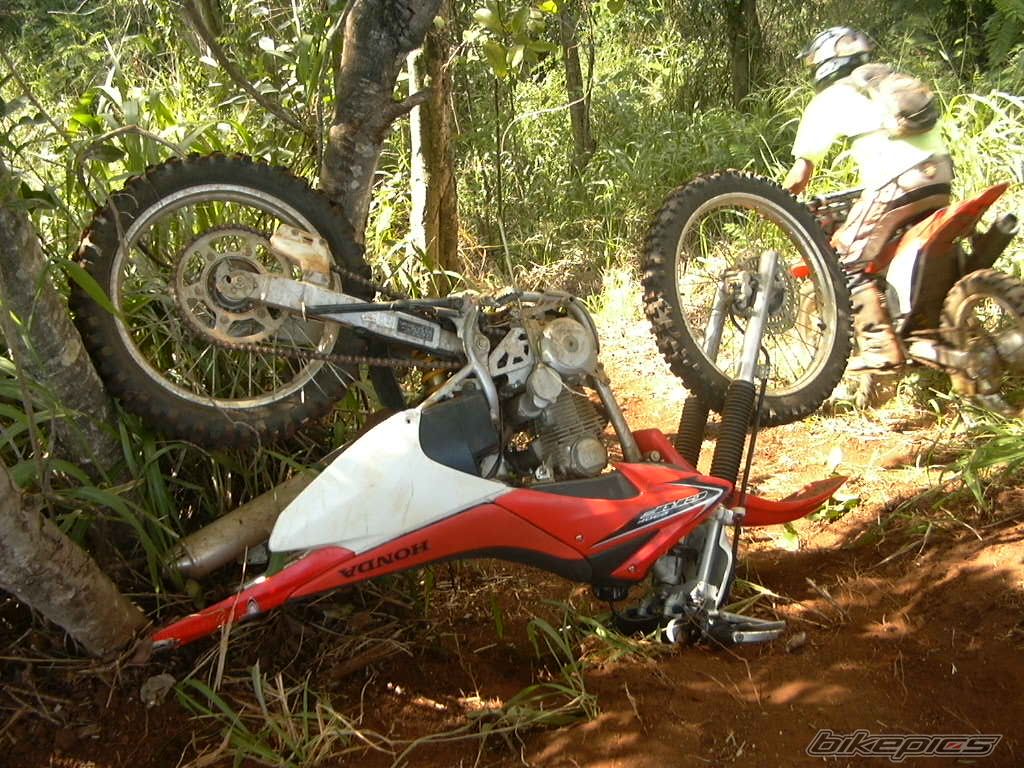 Bike Photo 1625939