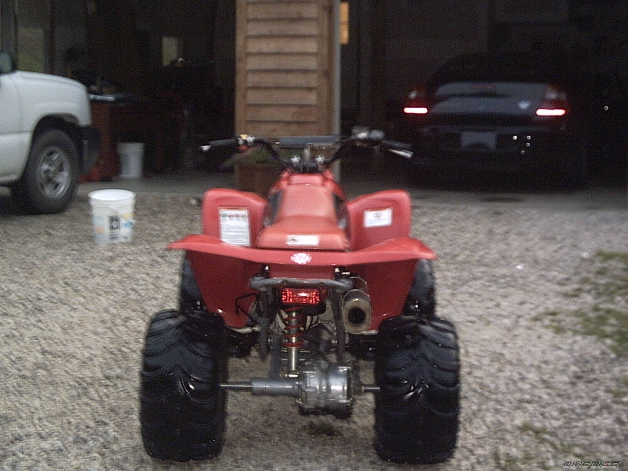 Photo 162635