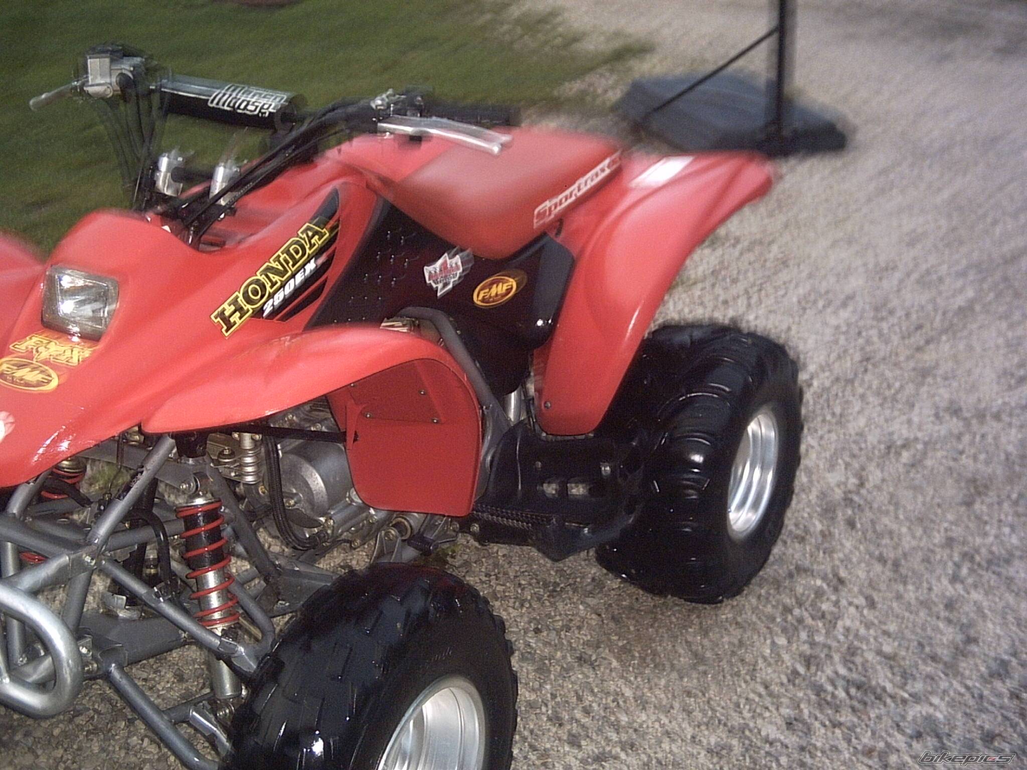 Photo 162639