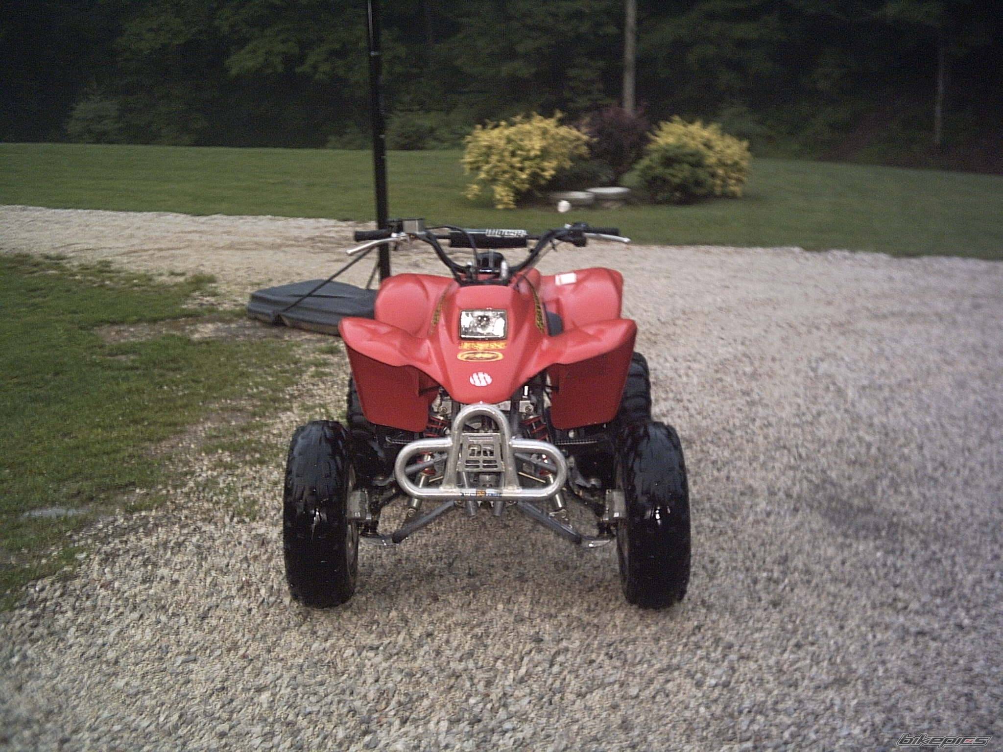 Photo 162640