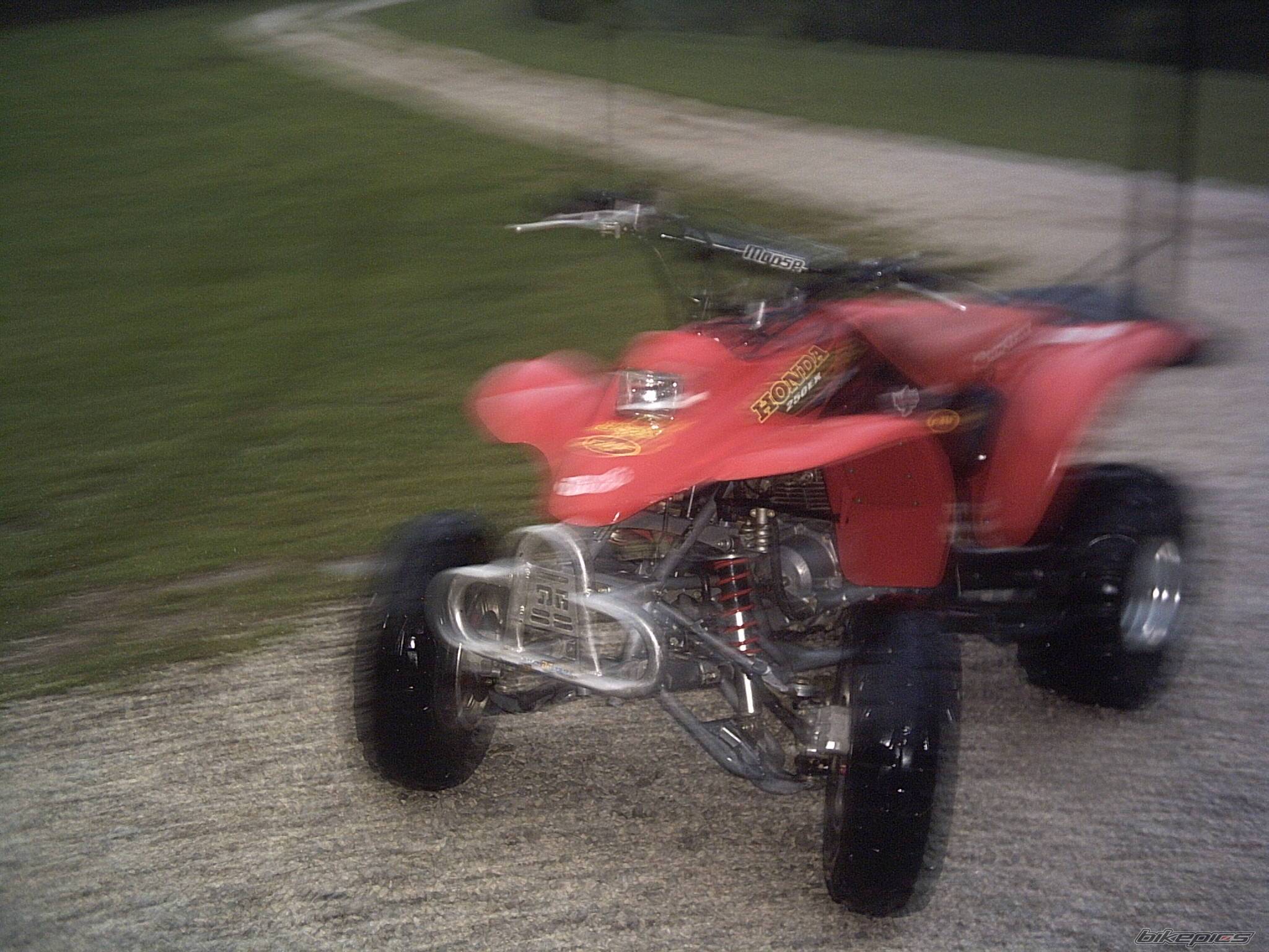 Photo 162643