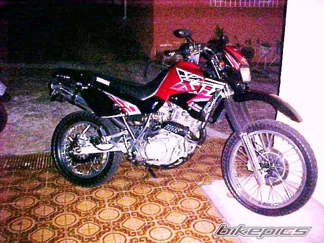Photo 1626437
