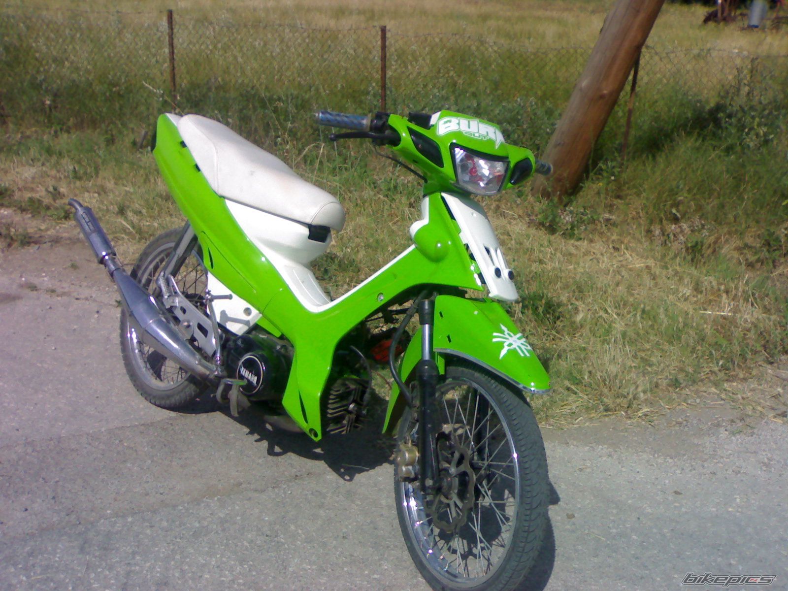 Photo 1626493