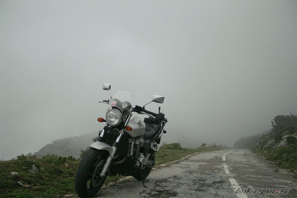 Photo 1626537
