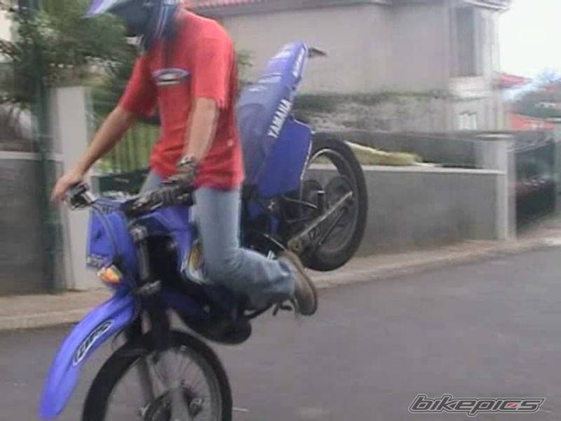 Photo 162669