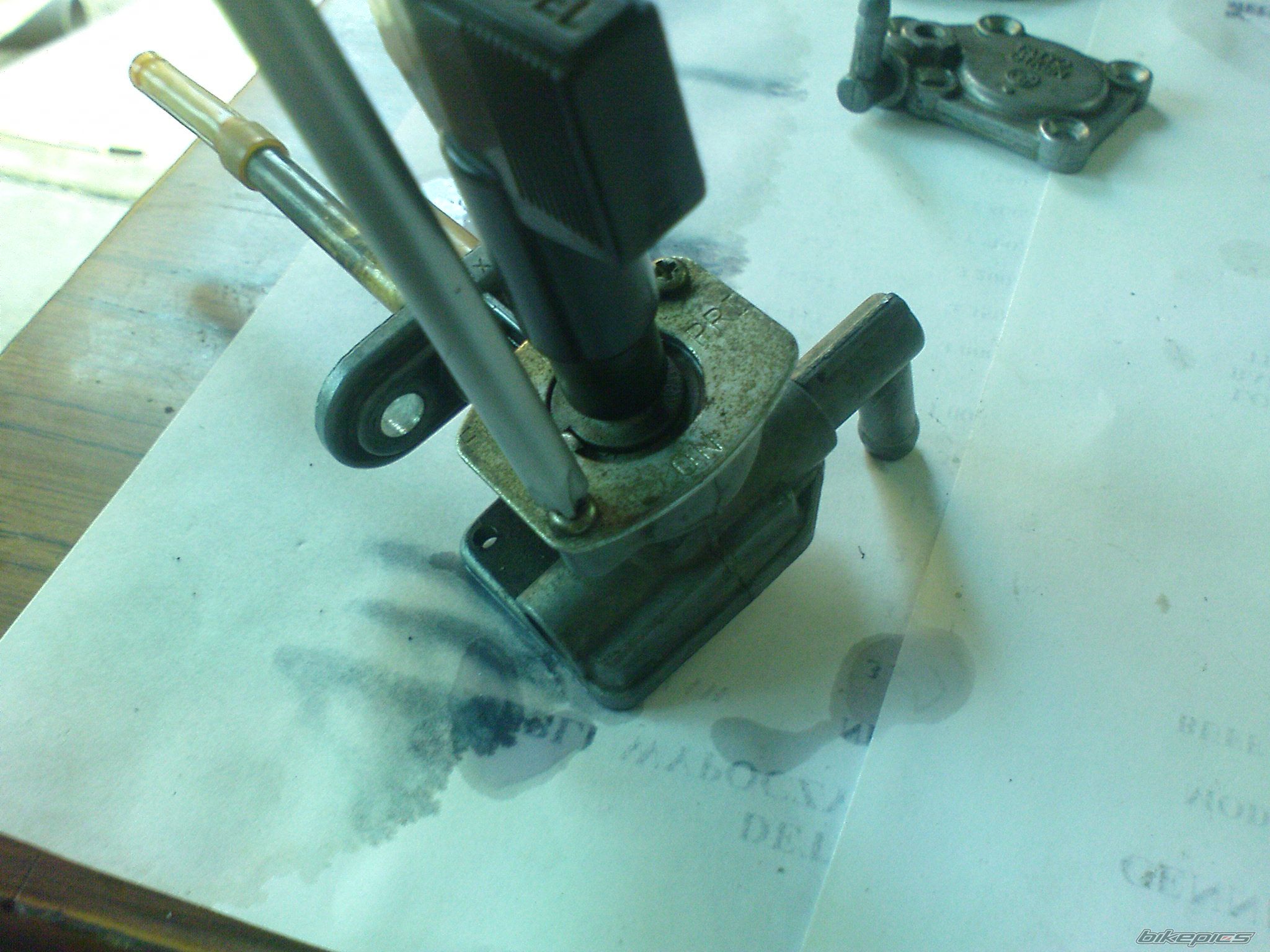 Photo 1626747