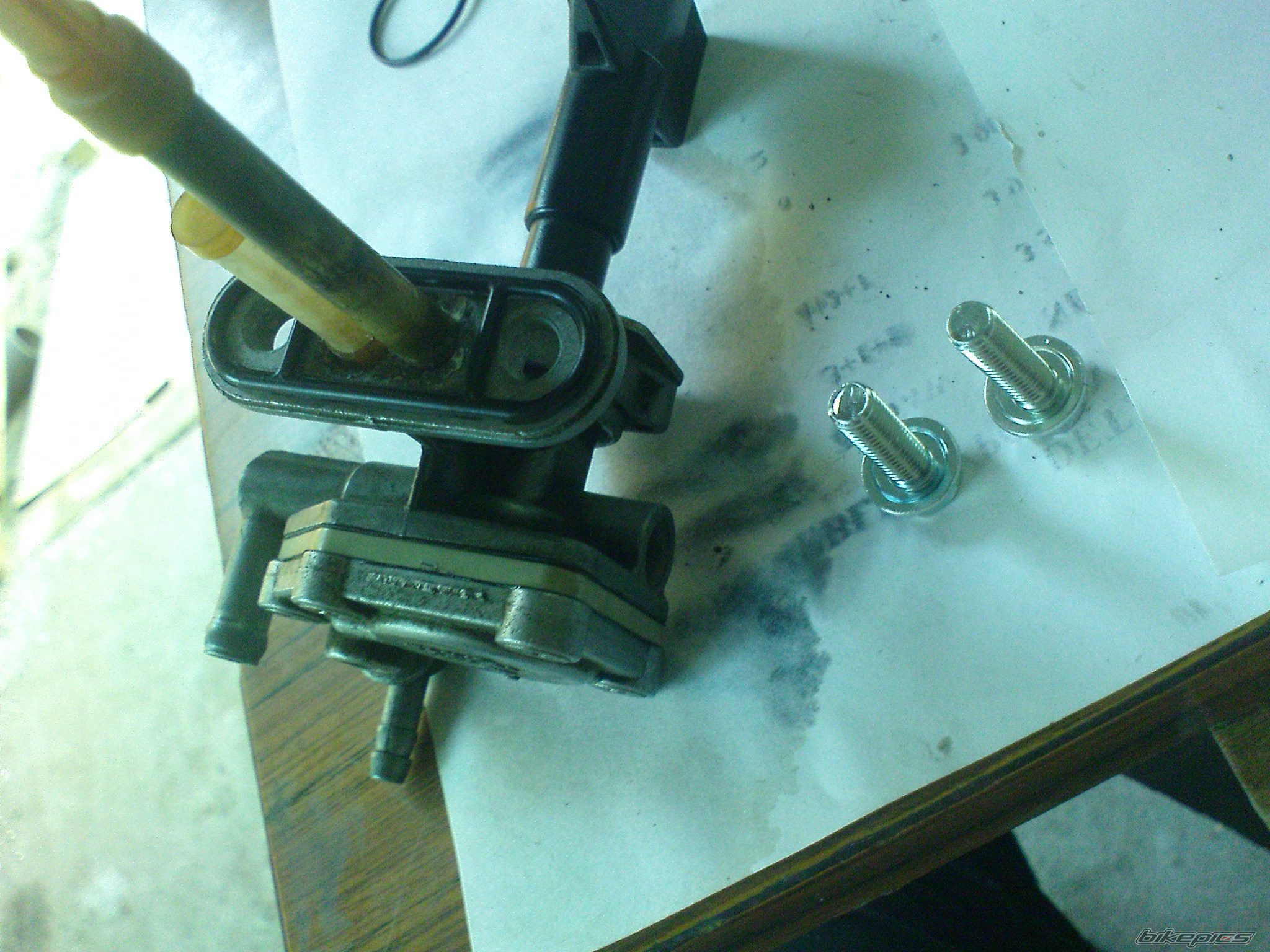 Photo 1626750