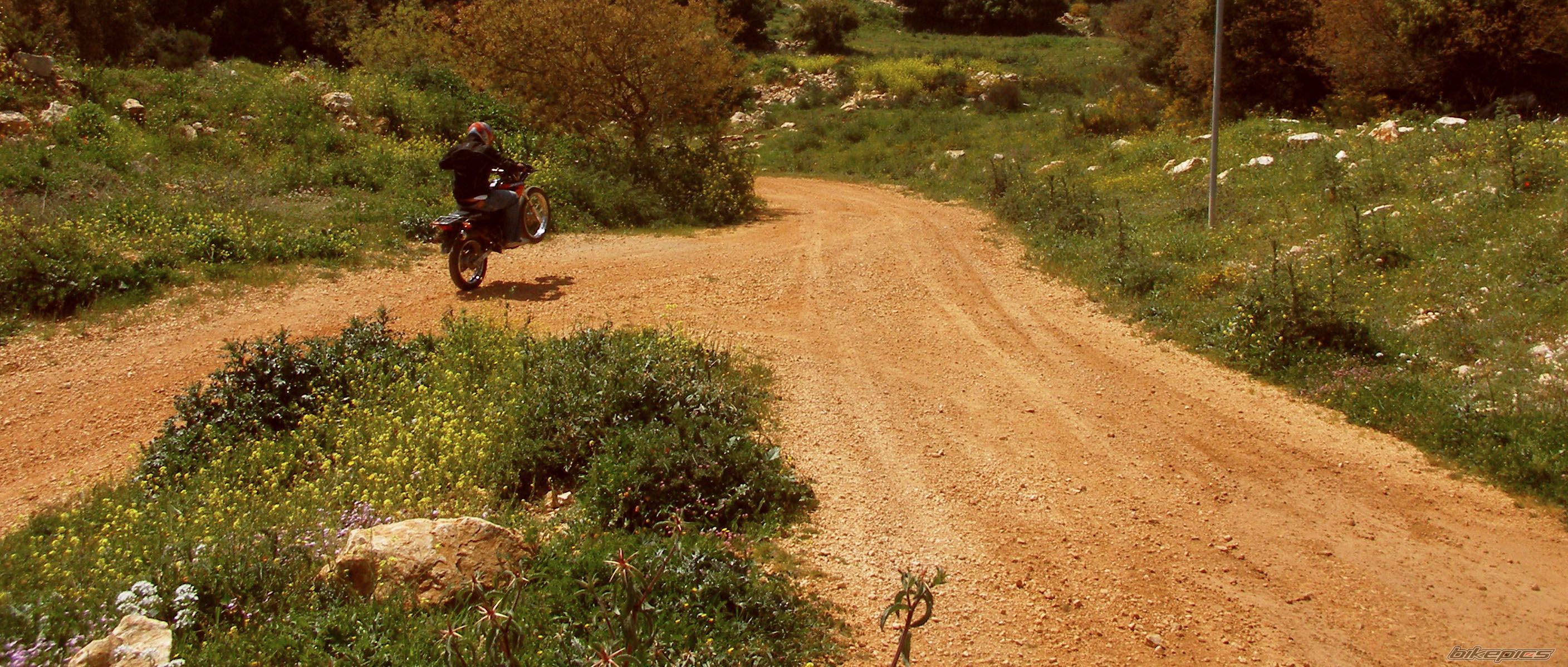 Bike Photo 1626754