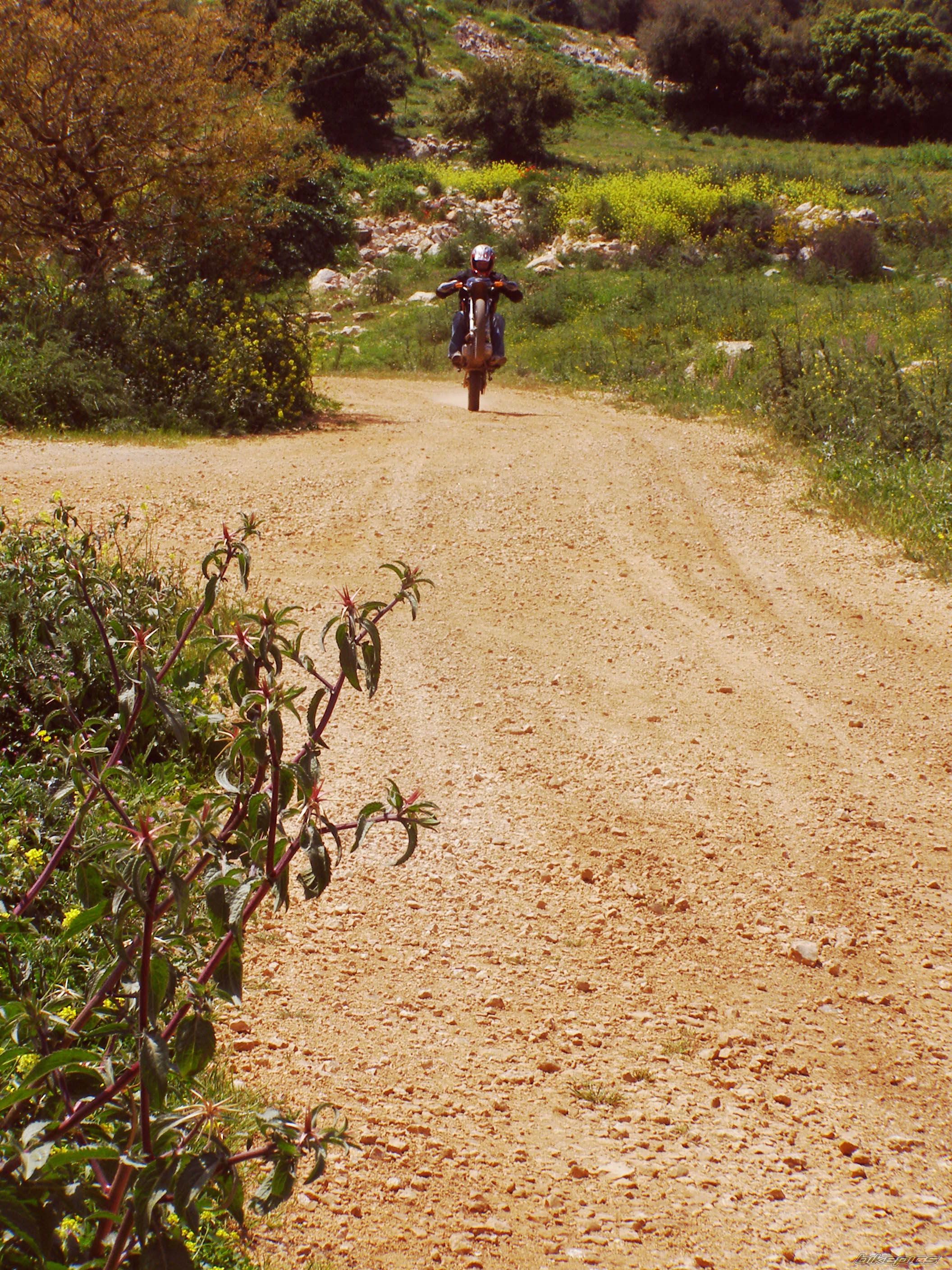 Bike Photo 1626759