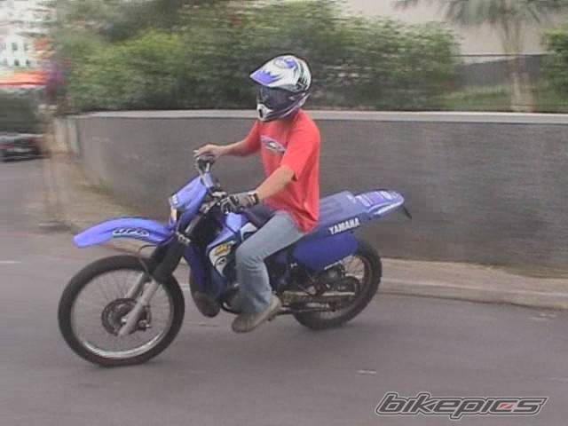 Photo 162677