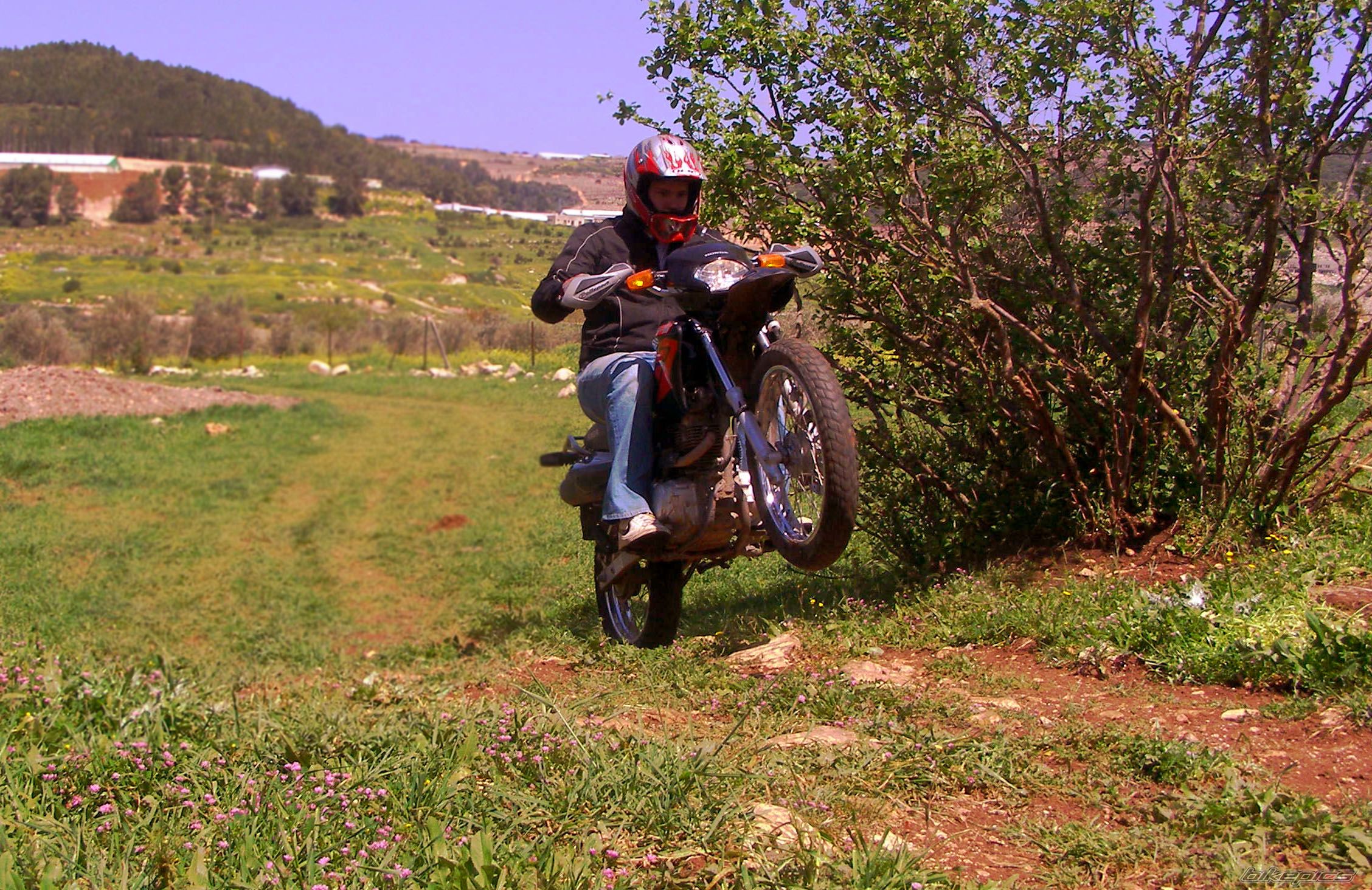 Bike Photo 1626796