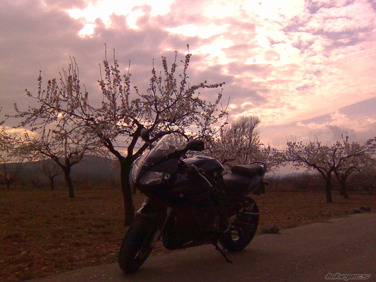 Bike Photo 1626829