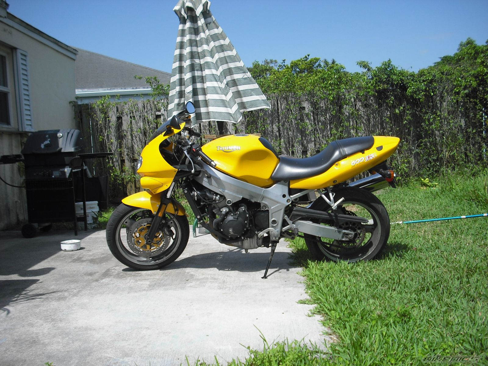 Photo 1626858