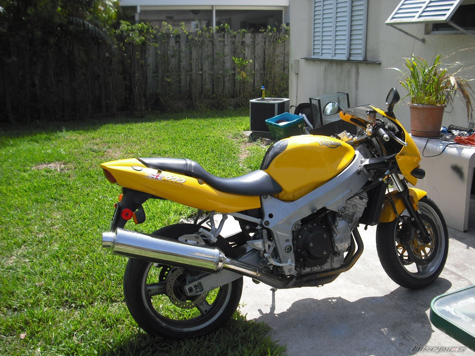 Photo 1626861