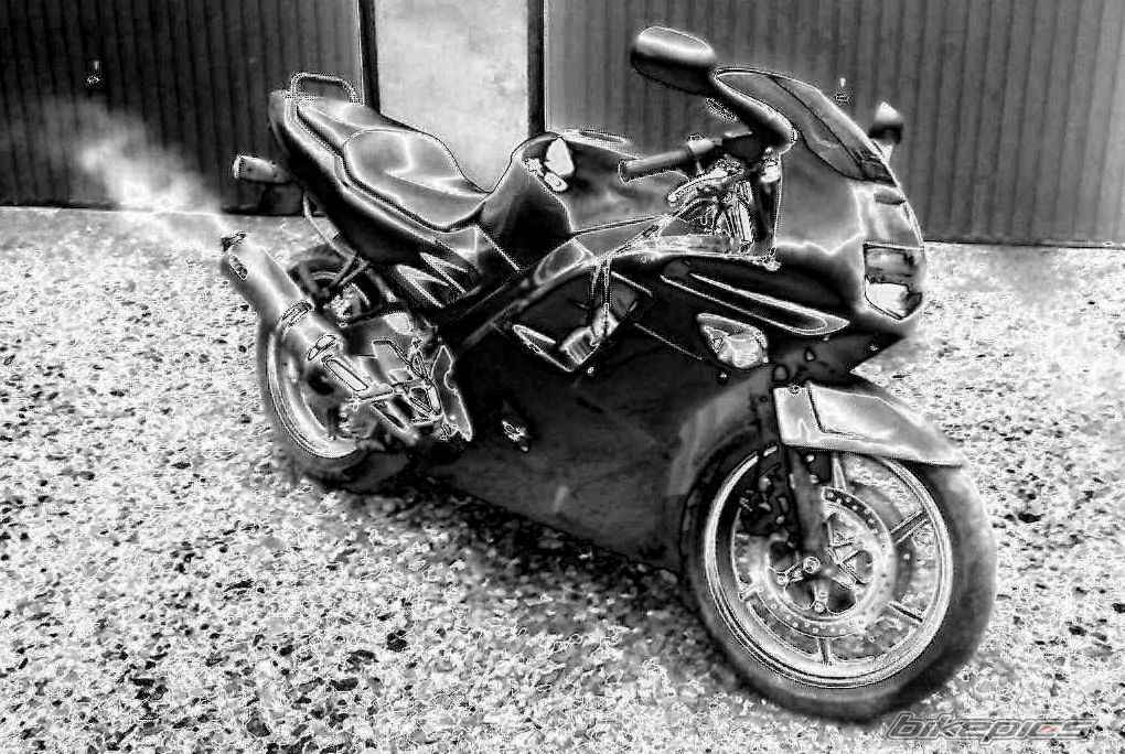 Photo 1626941