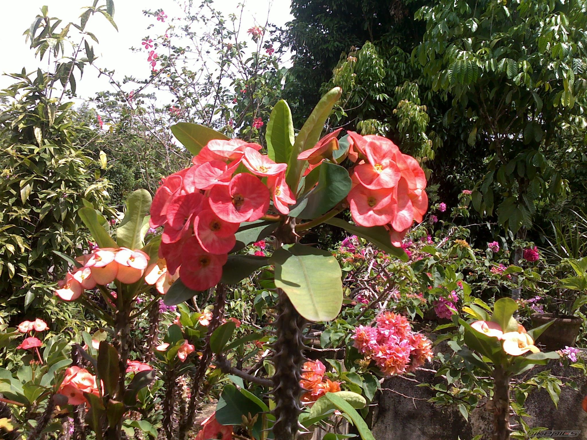 Photo 1626998