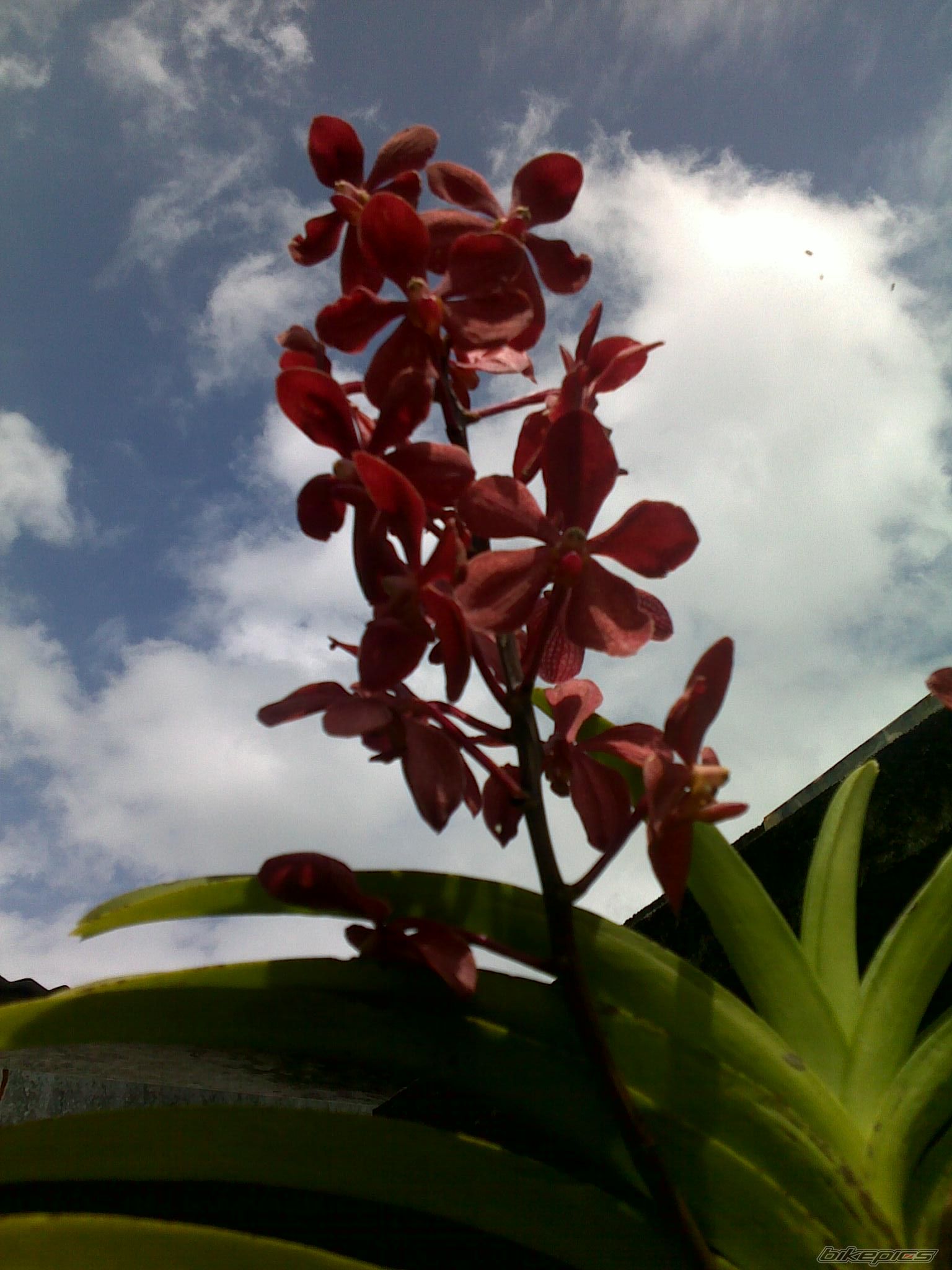 Photo 1627001