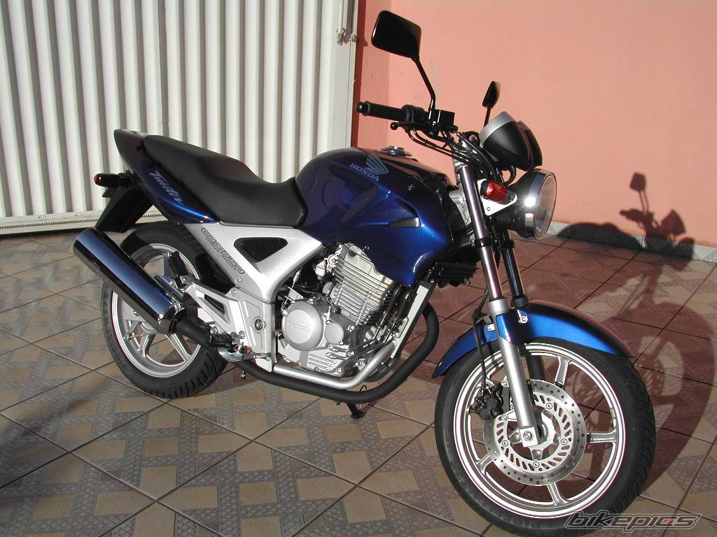 Photo 162720