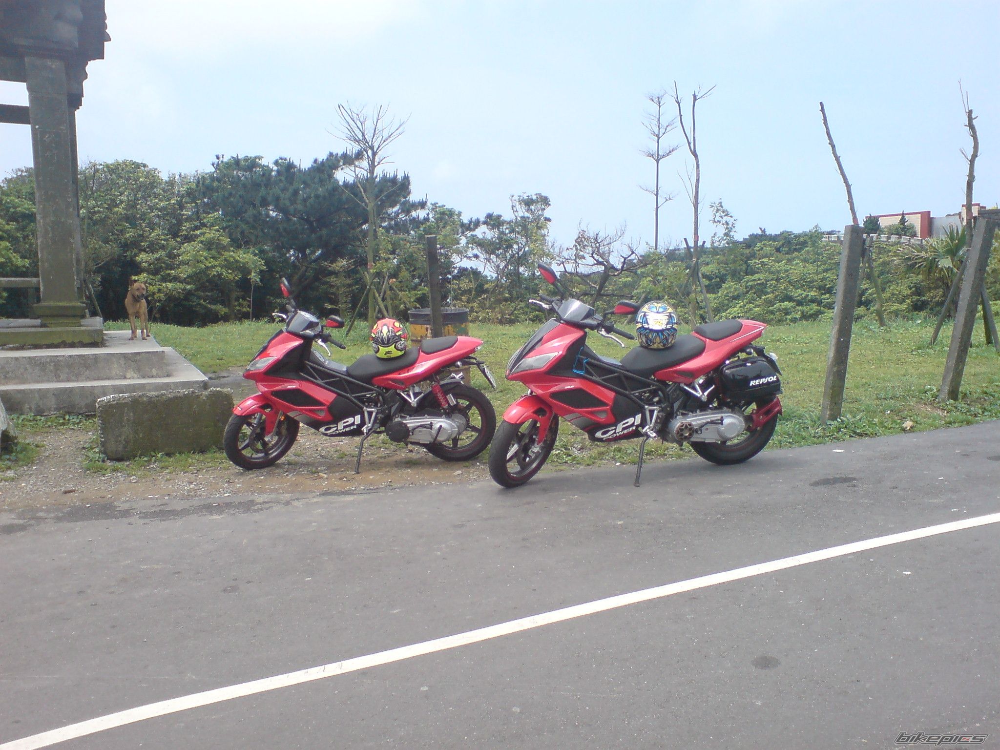Bike Photo 1627300