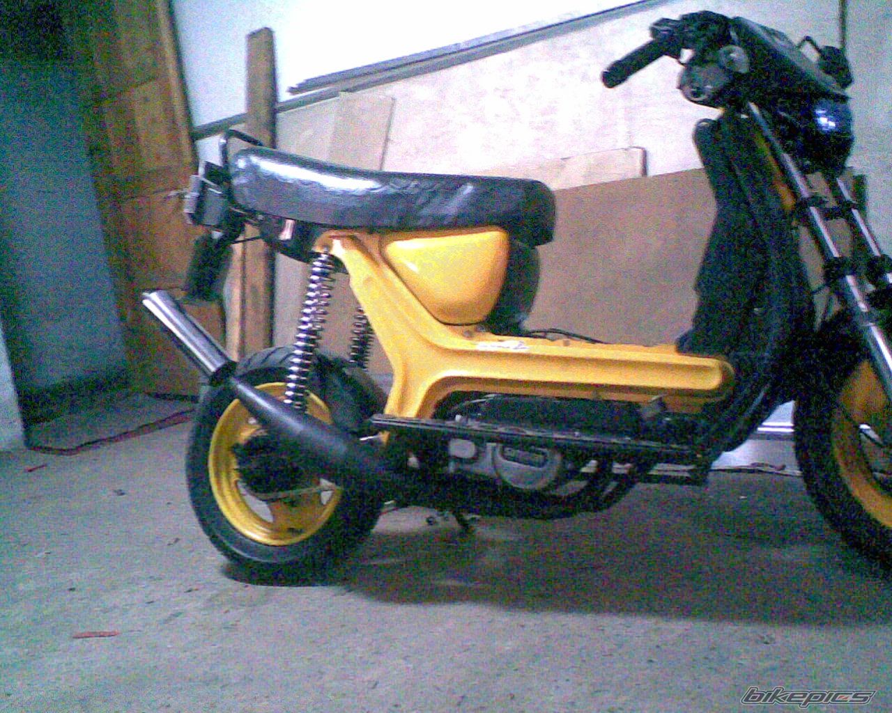 Photo 1627393